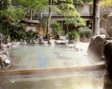 Hakone Tenzan Tokinoyu (天山湯治郷) 2