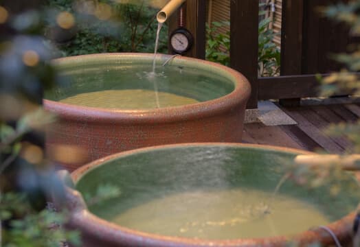 Hakone Yuryo (箱根湯寮) 2