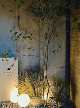 MYGB Cheongdam 3