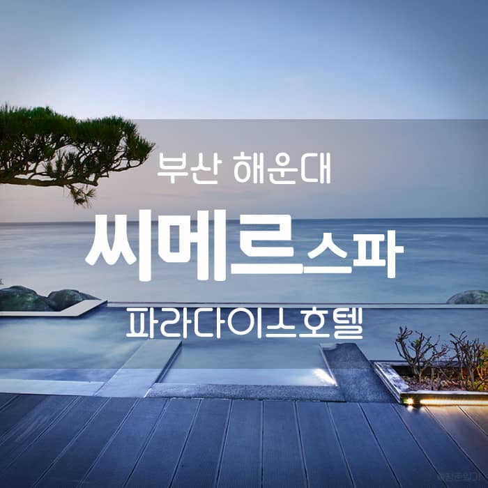 Paradise Hotel Busan Cimer