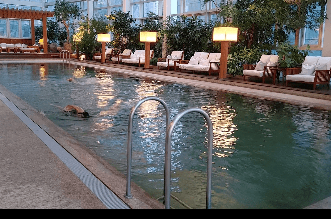 Park Hyatt Spa Busan 2