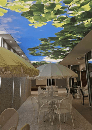 Venue G Aqua 24 4