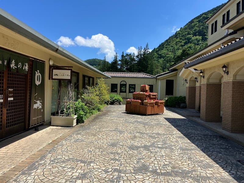 Yunessun Hakone (ユネッサン) 2